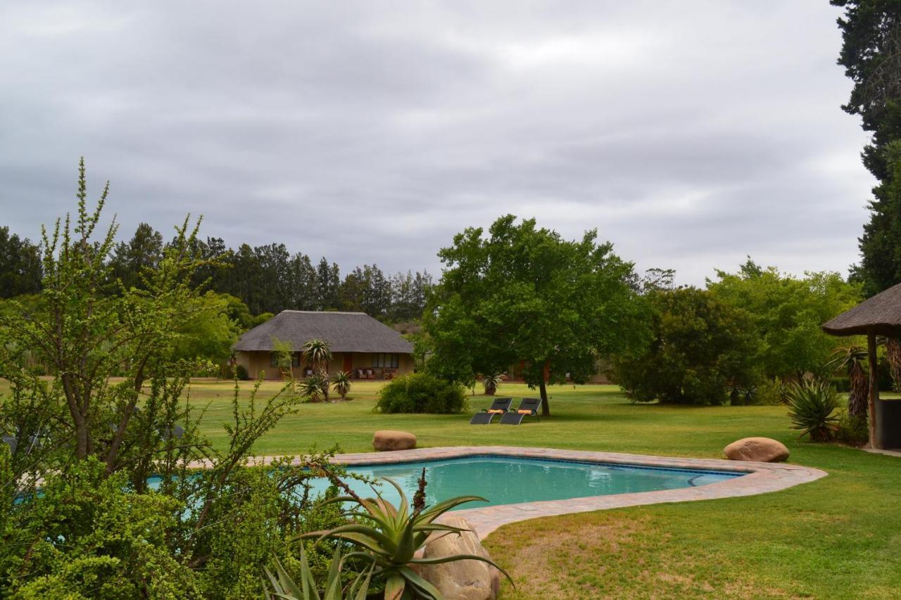אדו Chrislin African Lodge מראה חיצוני תמונה