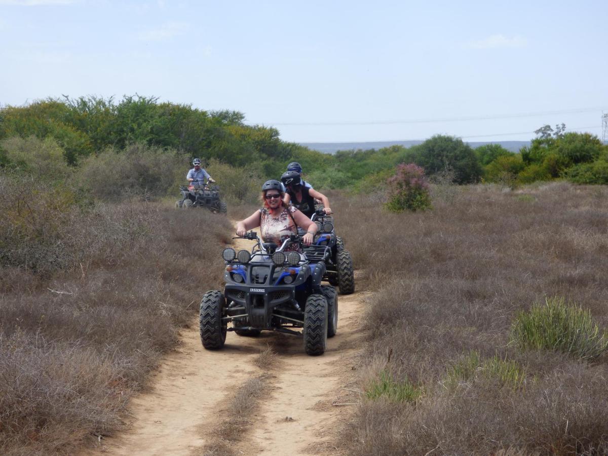 אדו Chrislin African Lodge מראה חיצוני תמונה