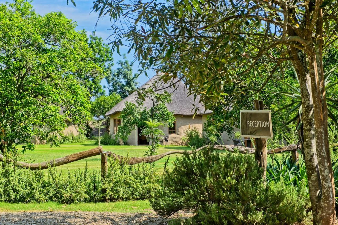 אדו Chrislin African Lodge מראה חיצוני תמונה