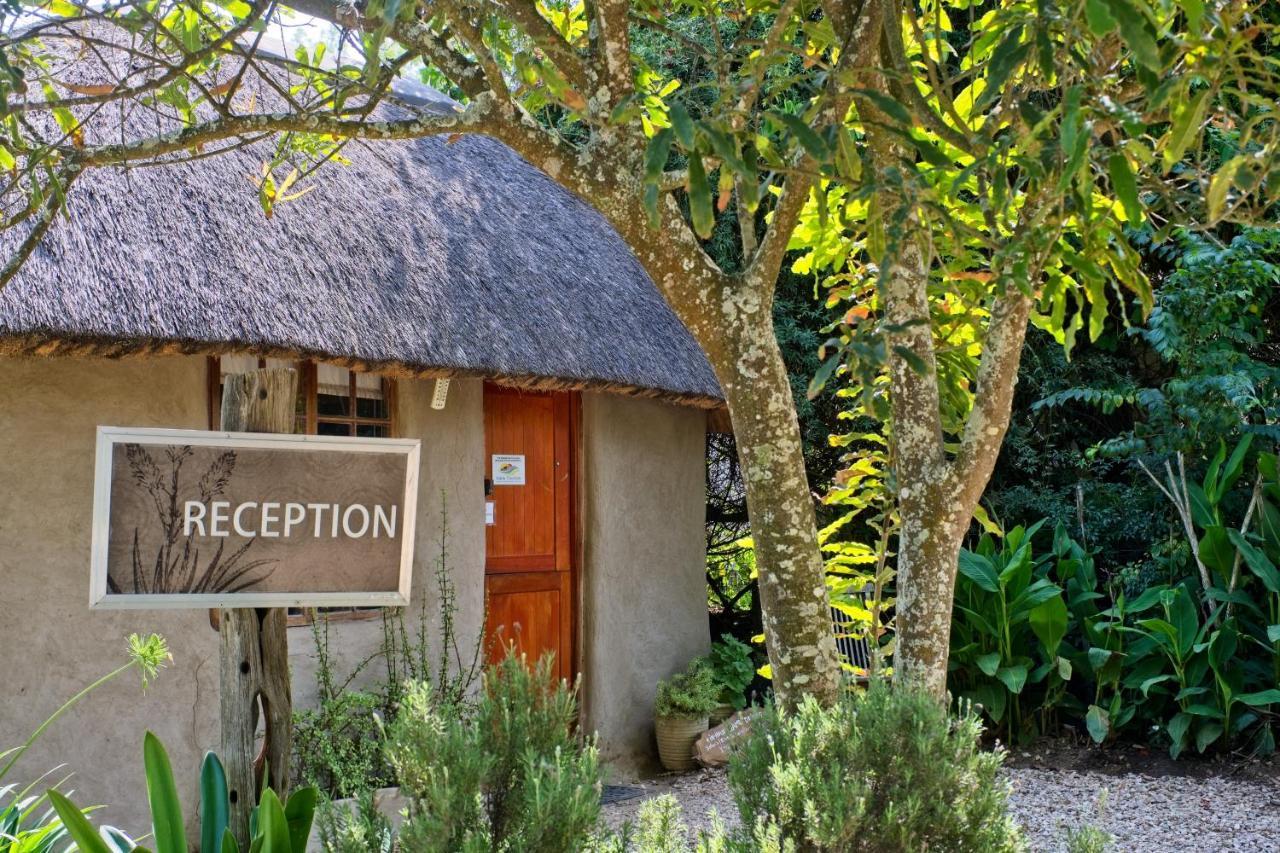 אדו Chrislin African Lodge מראה חיצוני תמונה