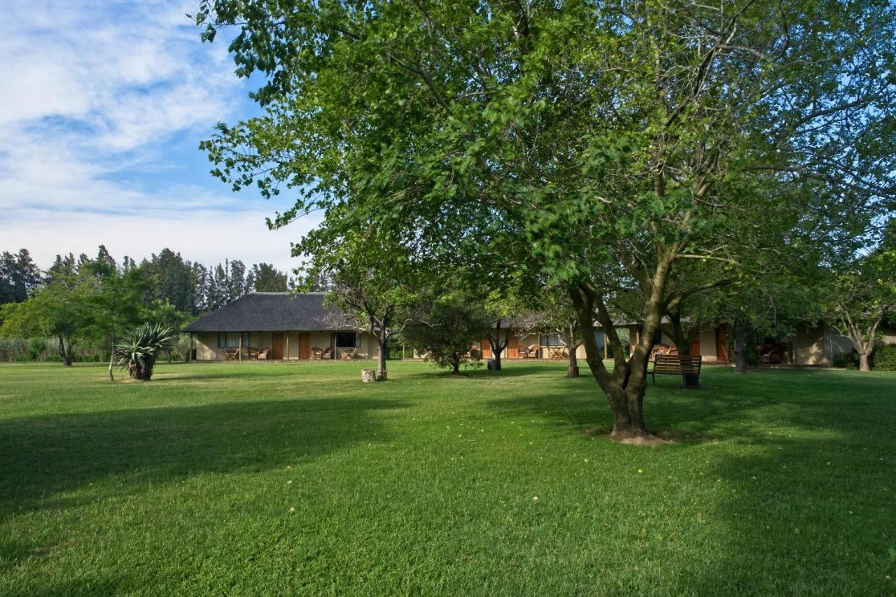 אדו Chrislin African Lodge מראה חיצוני תמונה