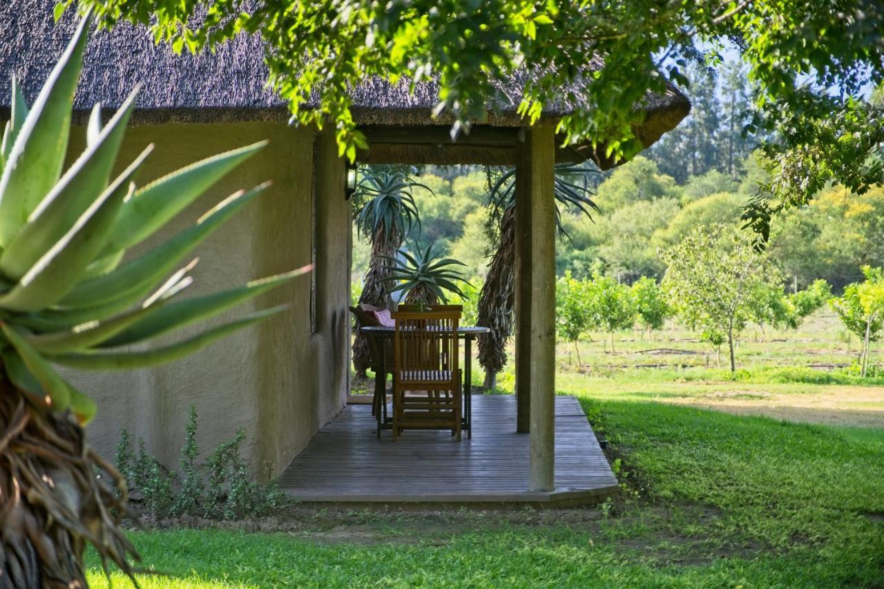 אדו Chrislin African Lodge מראה חיצוני תמונה